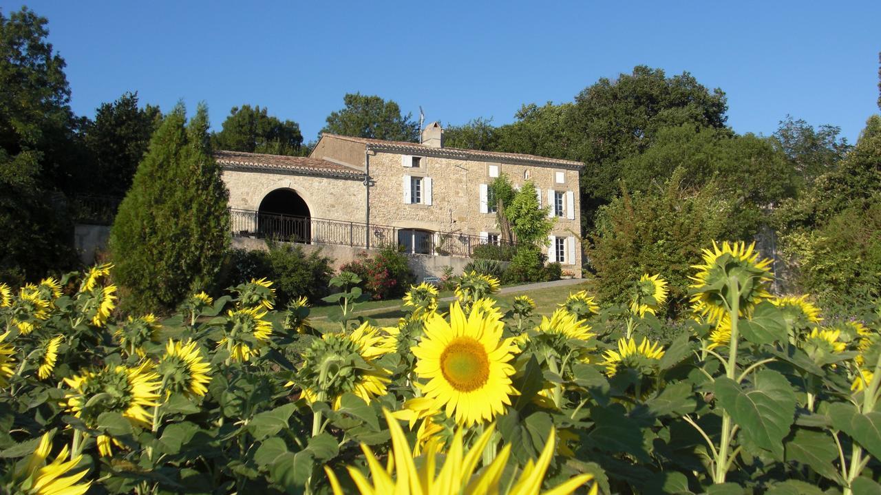 Chambres D'Hotes Domaine De La Capelle Saint-Martin-Lalande Eksteriør bilde